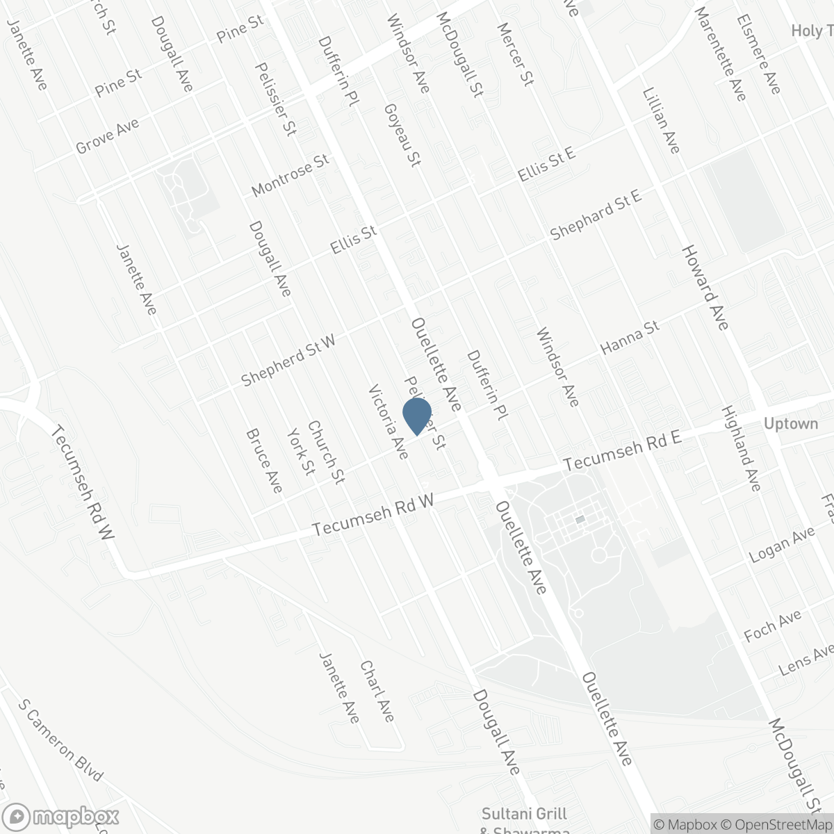 1585 PELISSIER, Windsor, Ontario N8X 1M9